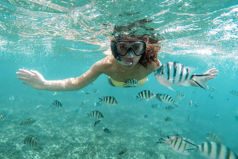 From Zanzibar: Mnemba Boat Tour with Snorkeling & Dolphine - From Nungwi Beach to Mnemba Atoll
