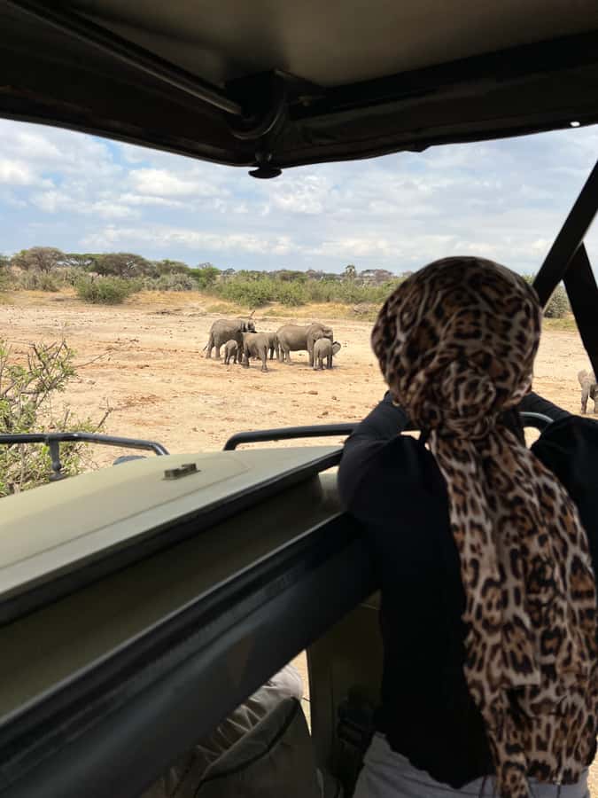 From Zanzibar: Nyerere National Park Game Drive with Lunch - Elephants, lions, hippos, and crocodiles