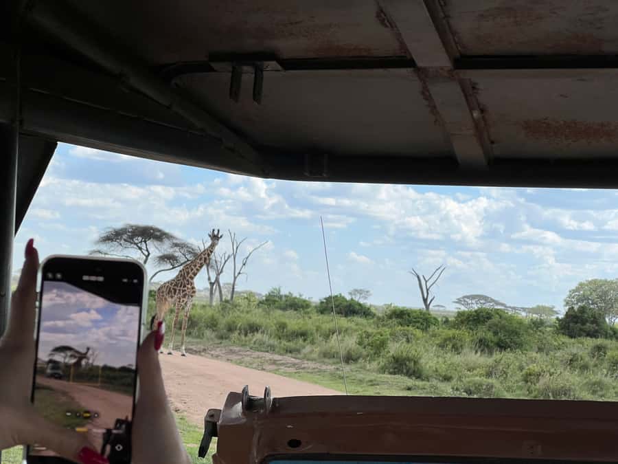From Zanzibar: Nyerere National Park Game Drive with Lunch - The afternoon drive and flight home