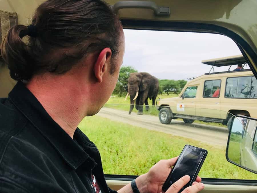 From Zanzibar: Nyerere National Park Game Drive with Lunch - Guide quality and the practical weak spot