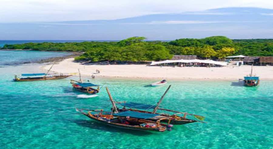 From Zanzibar: Safari Blue Snorkeling Trip with Lunch - Starting at your hotel and reaching Fumba