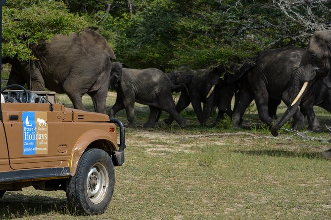 From Zanzibar: Selous Game Reserve Day Safari with Flights - A real bush lunch, not a hurried sandwich