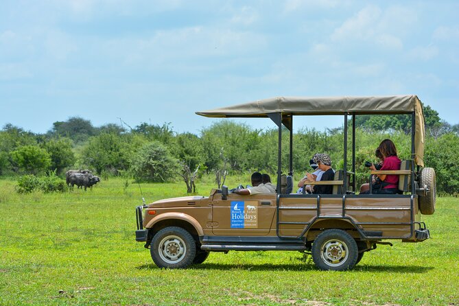 From Zanzibar: Selous Game Reserve Day Safari with Flights - Strengths that make the long day worthwhile