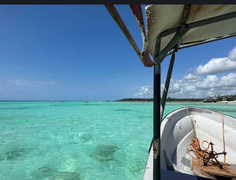 From Zanzibar: Starfish, Blue Lagoon, & The Rock Restaurant - Practical ways to improve the day