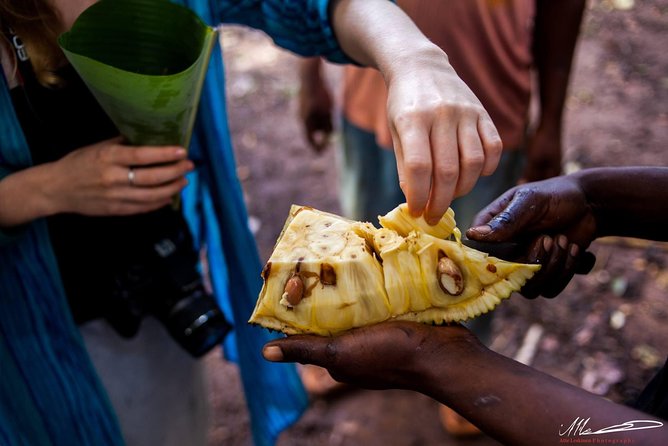 Fruits & Spices Adventure - Key points at a glance