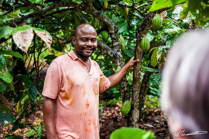 Fruits & Spices Adventure - Why Zanzibar’s spices are worth your morning