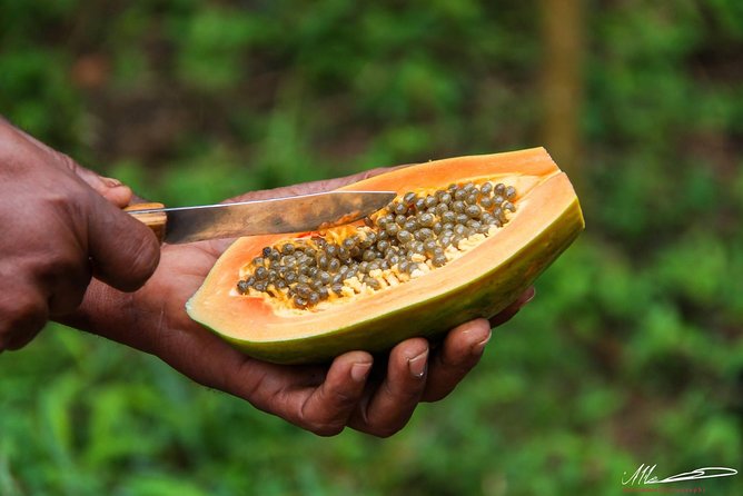 Fruits & Spices Adventure - Who will enjoy this farm visit most