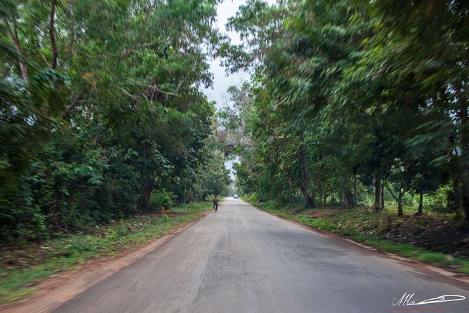 Fruits & Spices Adventure - Arriving at Jambo Spice Farm