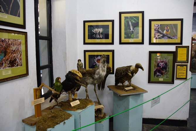 Full Day Arusha City Tour - The Tanzanite Experience and a famous blue stone