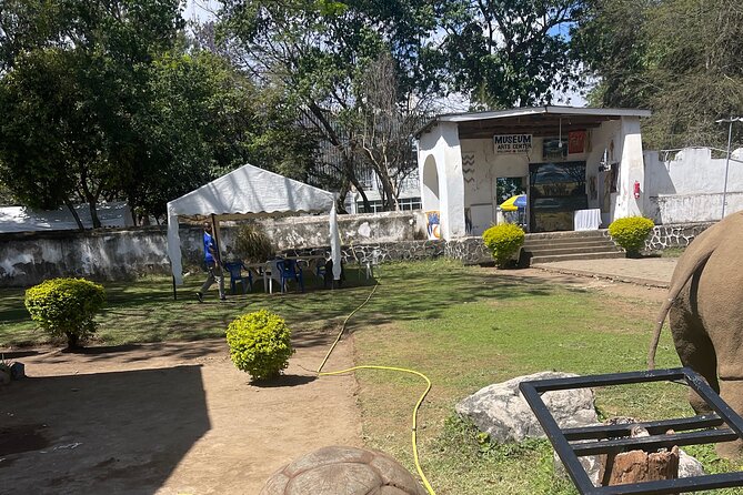 Full Day Arusha City Tour - Getting around Arusha by private vehicle