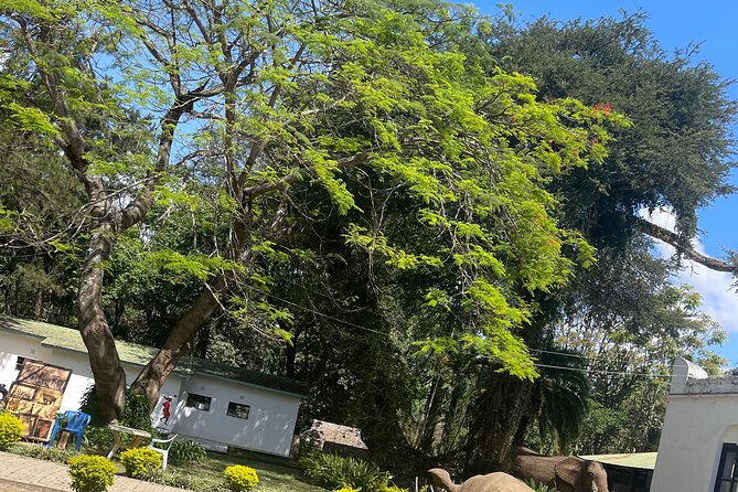 Full Day Arusha City Tour - What the $100 price really covers