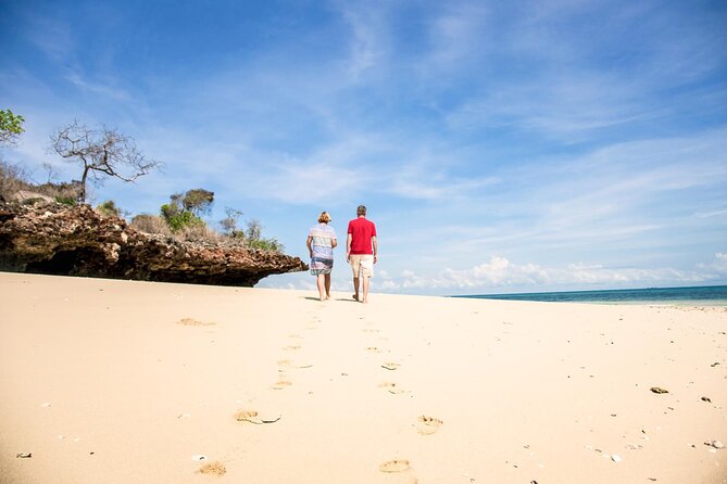 Full-Day Blue Lagoon and Sandbank Boat Tour from Zanzibar ( Safari blue) - Sandbank time, fruit, and the open sea