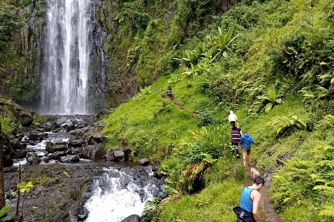 Full Day Materuni Water Falls, Hiking and Coffee Making Tour in Moshi - The 6:00 am pickup and the long road ahead
