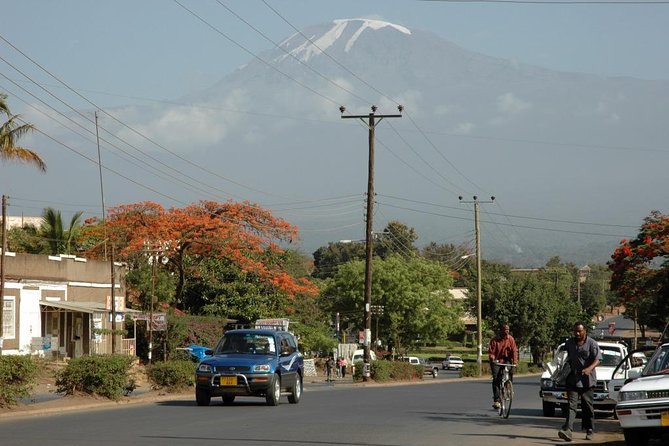 Full-Day Moshi Private Forest Walk and Local Market Tour - Six things to know before booking