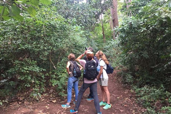 Full-Day Moshi Private Forest Walk and Local Market Tour - Is $120 per person fair?