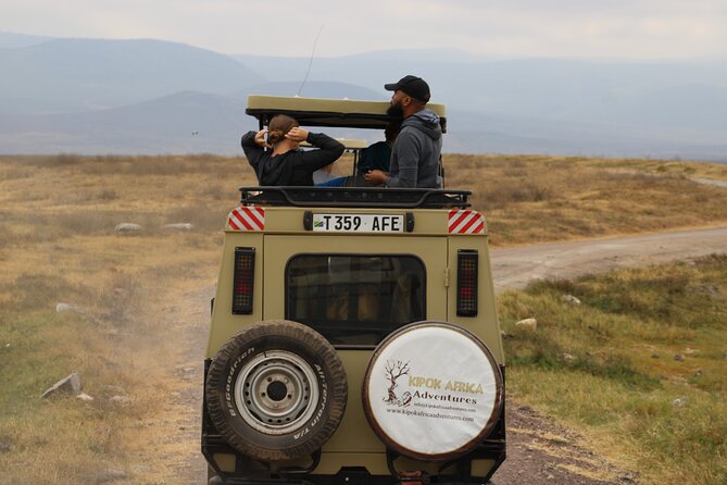 Full-Day Ngorongoro Crater private tour - Why Ngorongoro works as a one-day safari