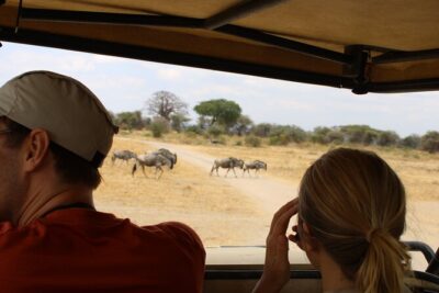 Full-Day Ngorongoro Crater private tour