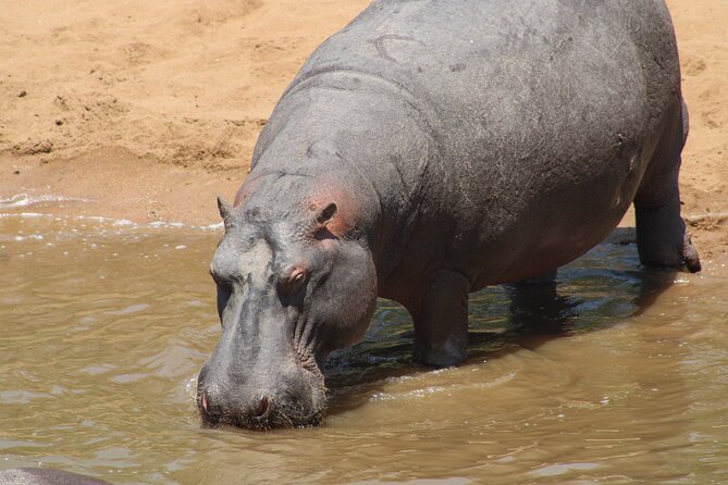 Full-Day Ngorongoro Crater private tour - Who will get the most from this outing