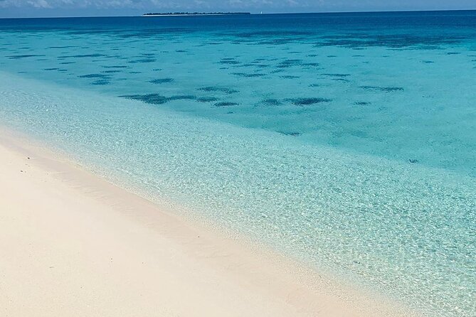 Full-day Prison Island and Nakupenda Sandbank with Lunch buffet - Prison Island and the old quarantine station