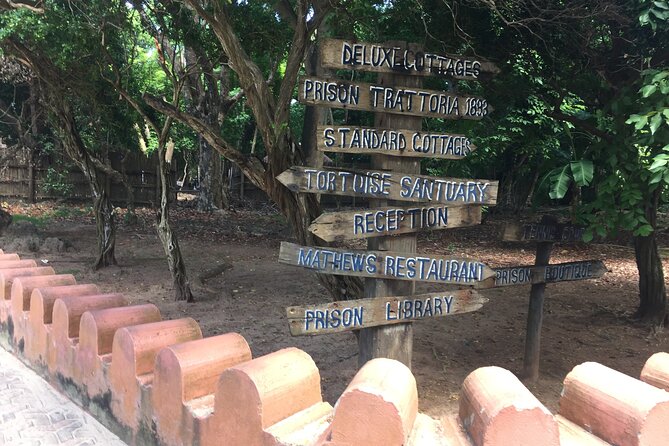 Full-day Prison Island, Nakupenda and Stone Town Tour with Lunch Buffet - Who will get the most from this Zanzibar day tour?