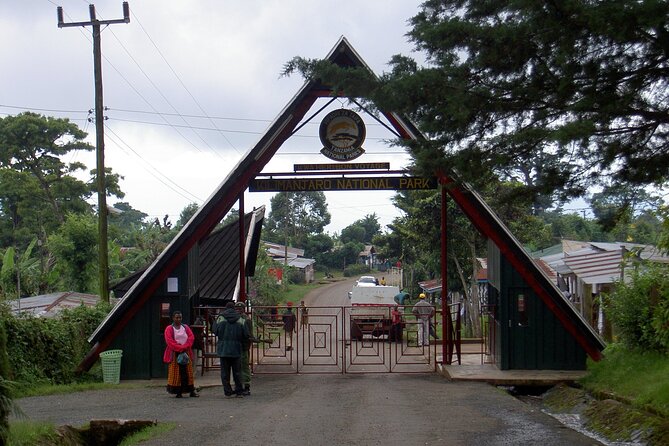 Full Day Private Hiking Tour to Kilimanjaro Mountain - What the $250 price really buys you