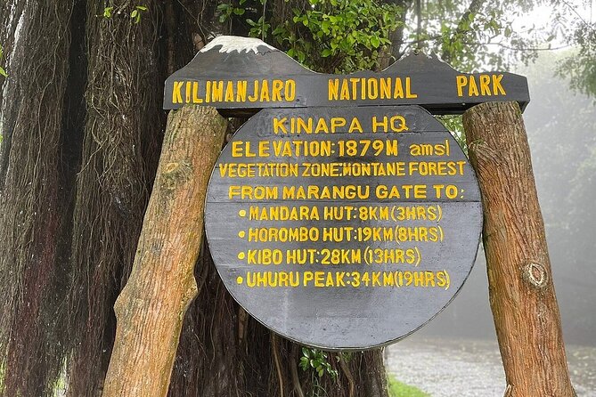 Full Day Private Hiking Tour to Kilimanjaro Mountain - Registration at the gate and the first rainforest miles