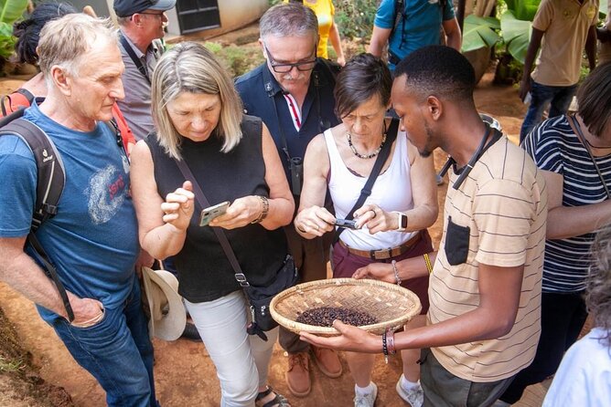 Full-Day Private Materuni Waterfalls and Coffee in Tanzania - Key points at a glance