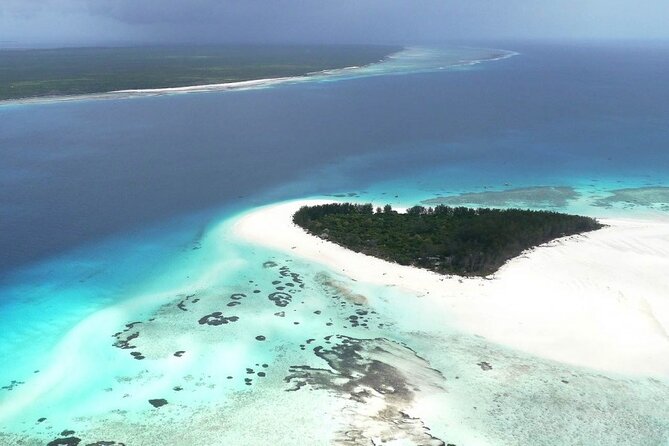 Full Day Private Mnemba Island + Turtles Aquarium & Kendwa Beach - Starting at Muyuni Beach for Mnemba Island
