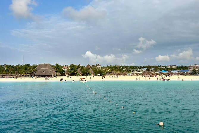 Full Day Private Mnemba Island + Turtles Aquarium & Kendwa Beach - Timing, transport, and the private format