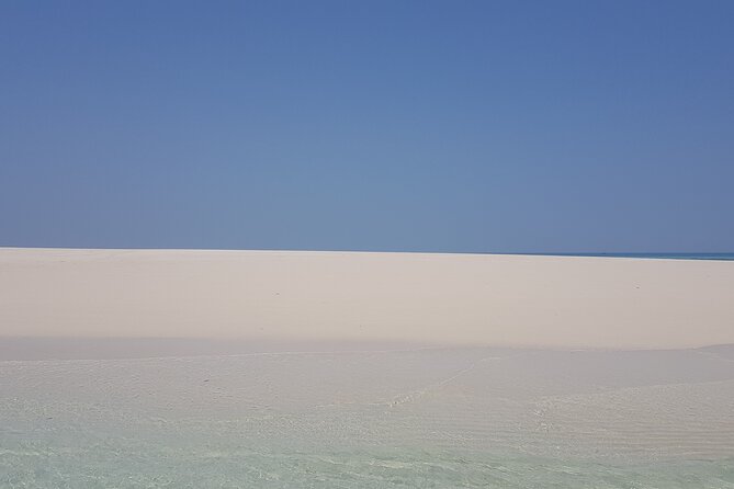 Full day private Nakupenda bis / Nyange Sandbank in Zanzibar - Is $100 per person good value?