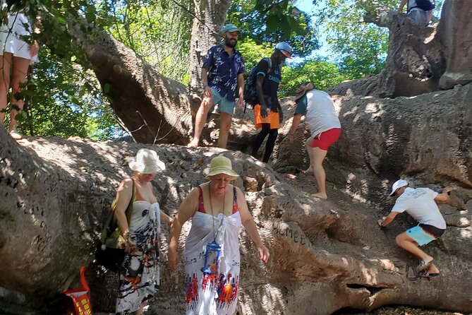 Full Day Private Safari Blue Sea Adventure in Zanzibar - Is $130 a good price?
