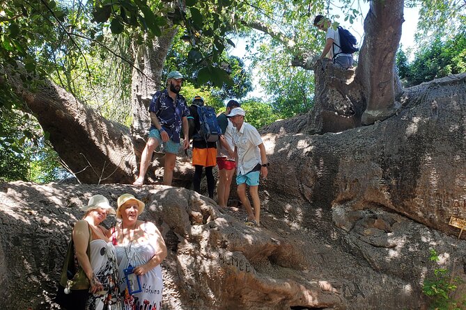 Full Day Private Safari Blue Sea Adventure in Zanzibar - The private tour question needs a clear answer