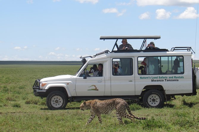 Full-Day Private Serengeti Safari from Mwanza - What makes the wildlife viewing worthwhile