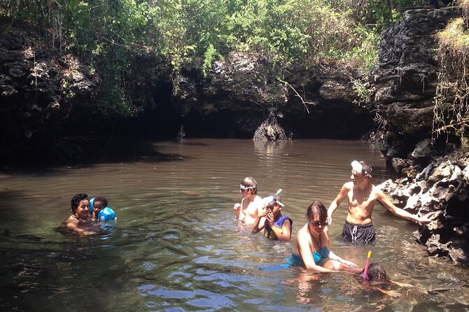Full - Day Private Zanzibar Tour with dolphins & Sunset Beach - What this Zanzibar day is really like