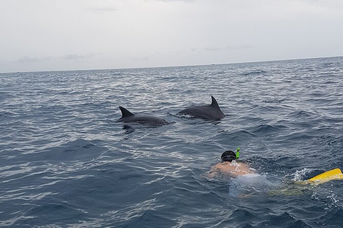 Full - Day Private Zanzibar Tour with dolphins & Sunset Beach - Baraka Natural Aquarium near Nungwi