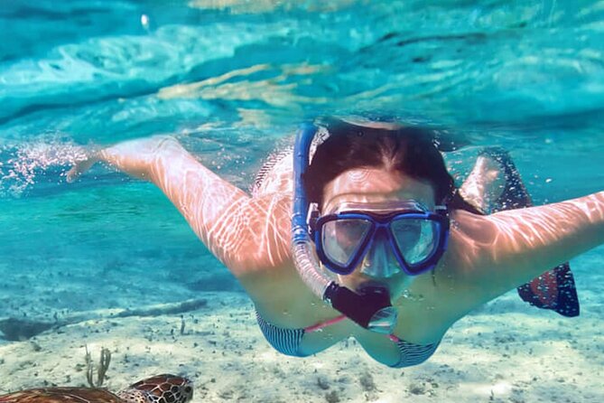 Full - Day Private Zanzibar Tour with dolphins & Sunset Beach - Who will enjoy this tour most