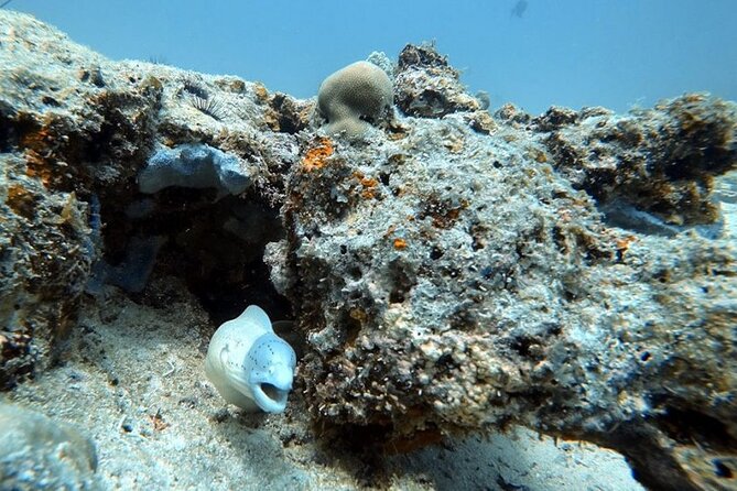 Full Day Private Zanzibar Tour with Sunset Beach - Mnemba Atoll: two hours of snorkeling