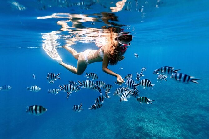 Full Day Private Zanzibar Tour with Sunset Beach - Booking questions worth asking first