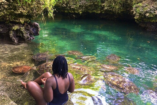 Full Day Private Zanzibar Tour with Sunset Beach - Baraka Natural Aquarium and the sea turtle pool