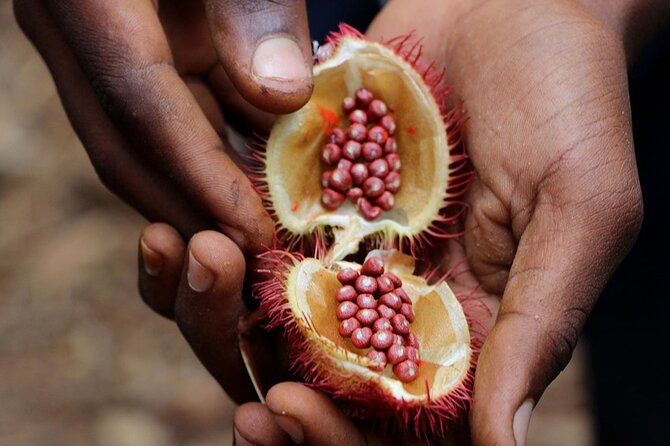 Full Day Private Zanzibar Triple Delight Tour - The Old Slave Market and Darajani Bazaar