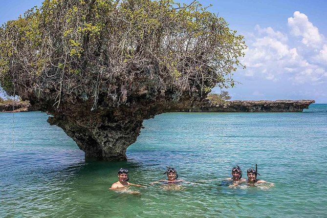 Full-day Safari Blue Trip in Zanzibar with Lunch buffet - Key details before you book