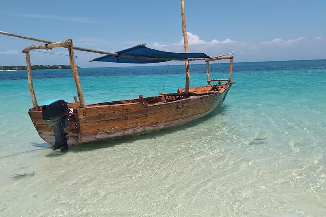 Full-day Safari Blue Trip in Zanzibar with Lunch buffet - The old baobab on Kwale Island