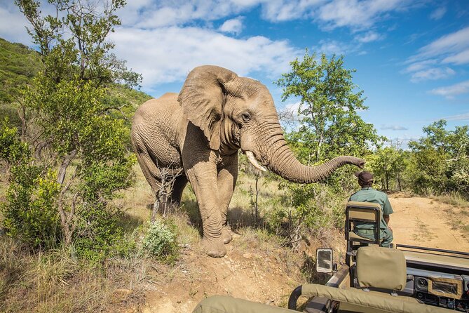 Full Day Safari to Mikumi National Park from Zanzibar with Lunch - Who will get the most from this safari?