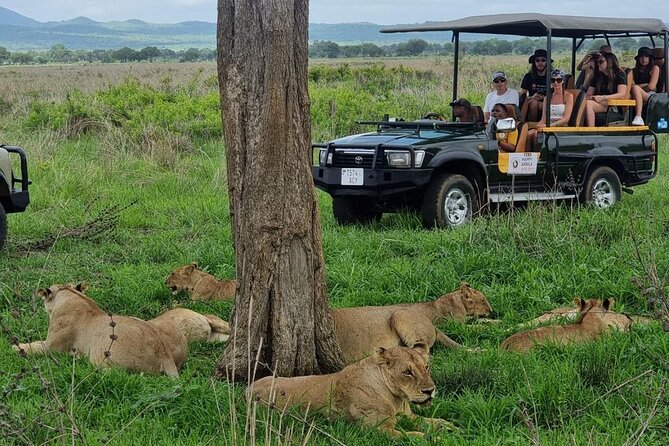 Full-Day Safari Tour from Mikumi National Park of Zanzibar - Key points about the Mikumi day safari