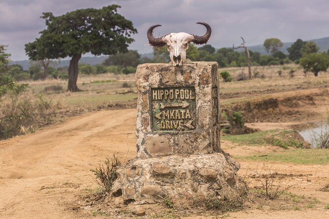 Full-Day Safari Tour from Mikumi National Park of Zanzibar - Birdlife adds another layer