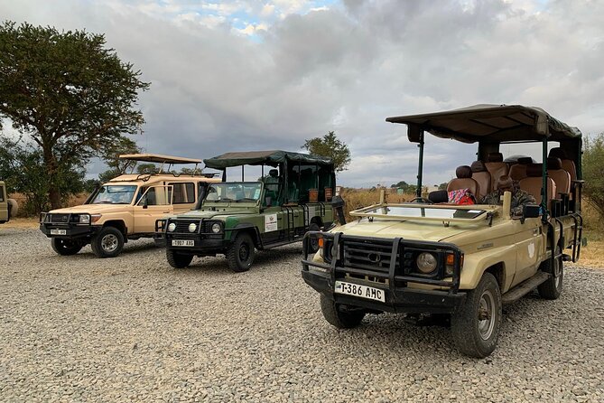 Full-Day Safari Tour from Mikumi National Park of Zanzibar - Is $550 a fair price?