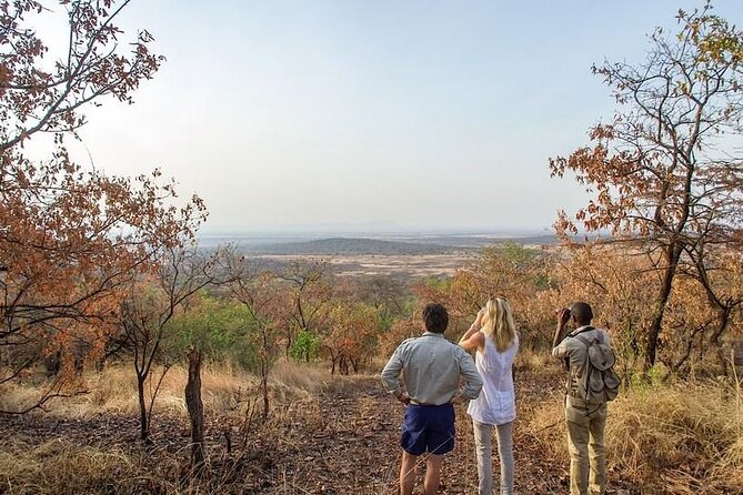 Full-Day Serengeti Tour from Mwanza - Morning game drive along the Grumet River