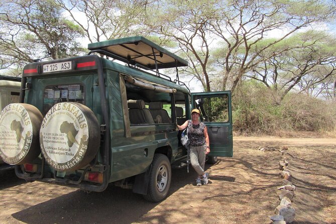 Full-Day Serengeti Tour from Mwanza - What the price delivers at $498