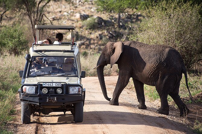 Full-Day Serengeti Tour from Mwanza - Who should book this safari