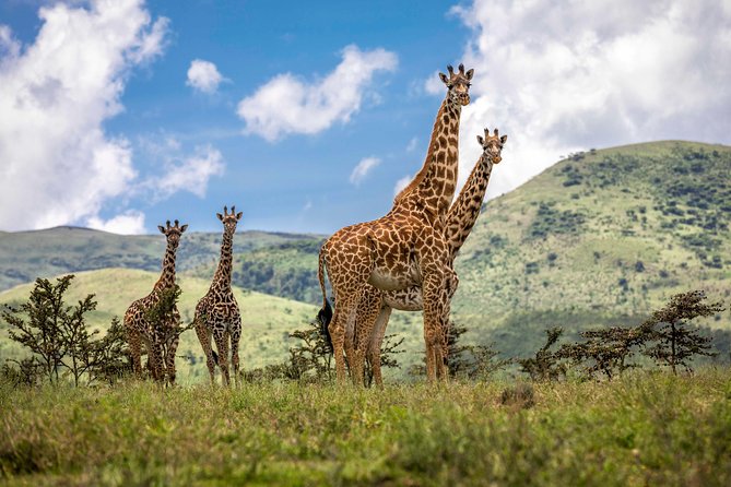 Full Day To Arusha National Park - Why Arusha National Park is worth your time